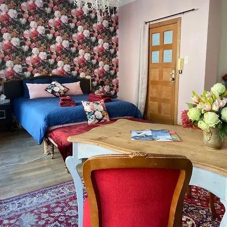 The Pink Studio - Exceptional Location In City Center - Unique & Elegant Namur